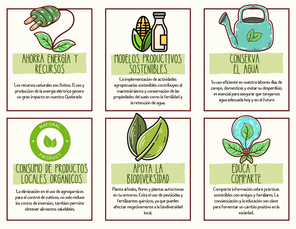 Acciones para conservar nuestros bosques tropicales
