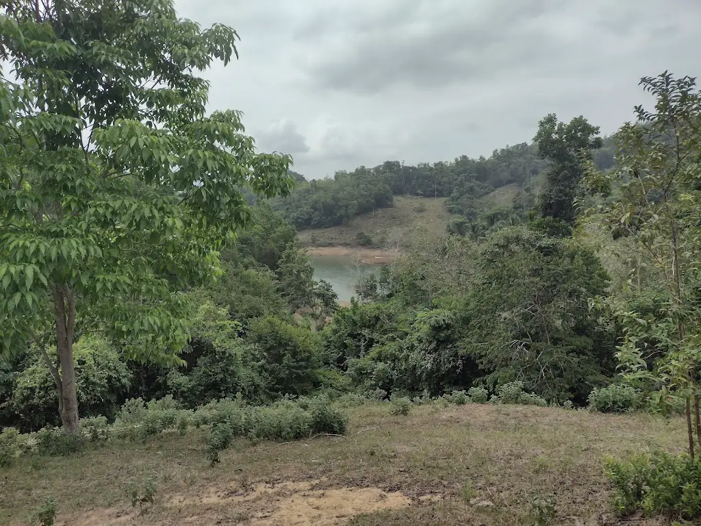 Bosque semiseco colombiano