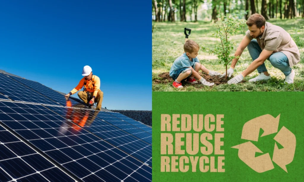 Paneles solares, sembrar y reciclar