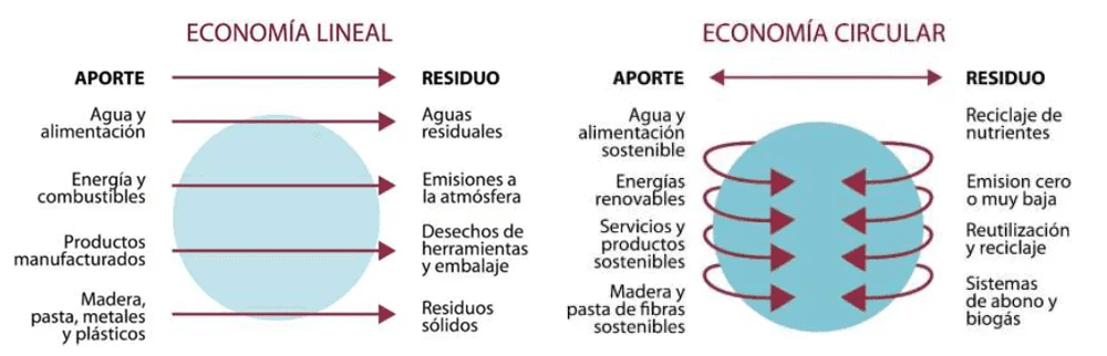 ventajas y desventajas de la economía circular y economía lineal