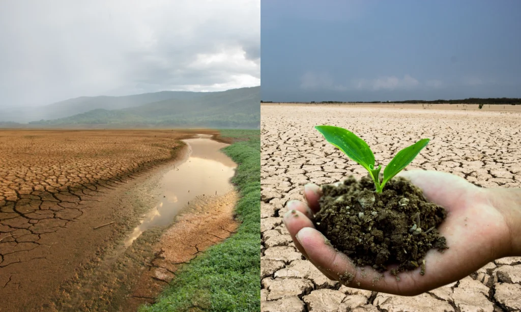 mitigacion-del-cambio-climatico