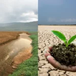 mitigacion-del-cambio-climatico