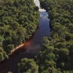 Restauración ecológica de bosques