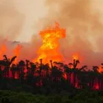 incendios forestales