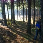 inventario forestal