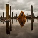 Evolución de la contaminación del medio ambiente