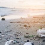 Combatir la Contaminación del Medio Ambiente
