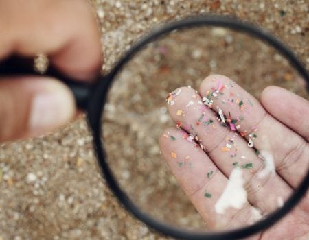 La contaminación del medio ambiente por microplásticos