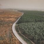 Soluciones contra la deforestación de bosques tropicales