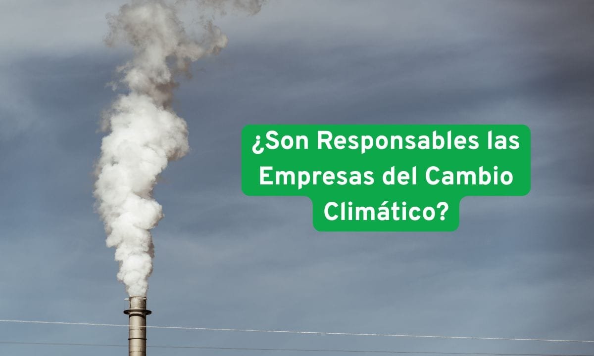 la responsabilidad climática de los estados y empresas