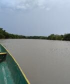wetlands-colombia-river