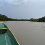 wetlands-colombia-river