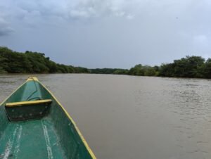 wetlands-colombia-river