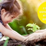 ¿Cuáles son 10 formas de cuidar el medio ambiente?