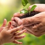 ¿Por qué es importante tener conciencia ambiental?