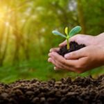 Cómo proteger la biodiversidad en nuestro planeta