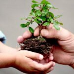 ¿Cuáles son los deberes con el medio ambiente?