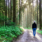 ¿Qué características debe poseer un educador ambiental?