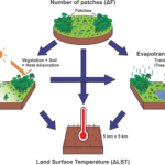 How habitat fragmentation accelerates warming through feedback loops