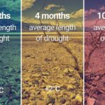 How soil degradation undermines ecosystems’ carbon storage ability