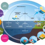 How chemical pollutants interact with climate change stressors