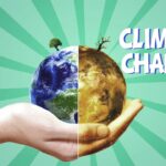 How hands-on environmental education enhances climate change understanding