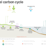 How industrial emissions alter global atmospheric carbon balance