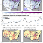 How loss of wetlands intensifies climate change impacts