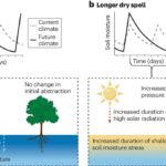 How shifting precipitation patterns increase drought and flooding