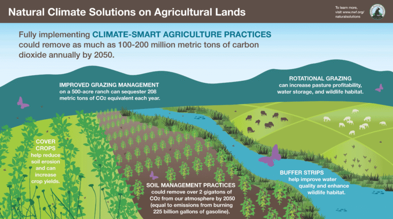 How sustainable agriculture practices reduce climate change impacts