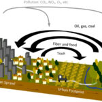 How urban sprawl reduces natural carbon sink capacity