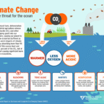 How warming oceans affect marine ecosystems and fisheries